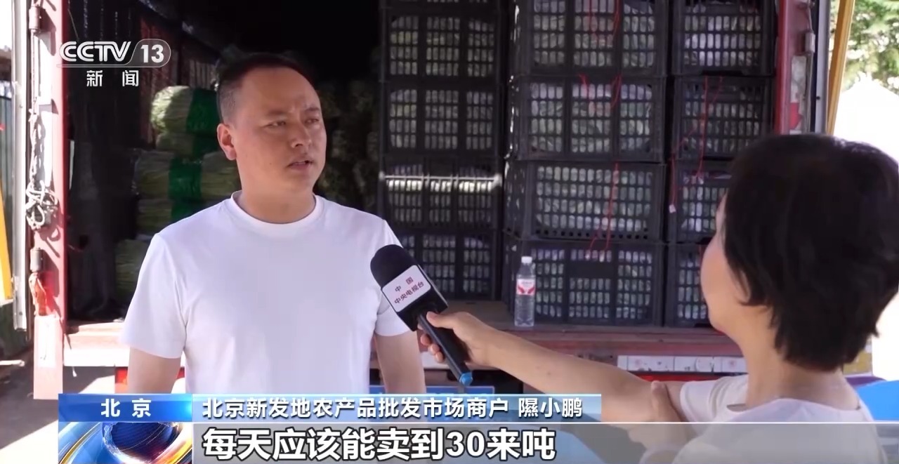 
北京肿瘤医院黄牛代挂号电话票贩子号贩子网上预约挂号,住院检查加快,“小菜篮”里装着“大民生” 面对菜价波动 多地出实招守护“菜篮子”