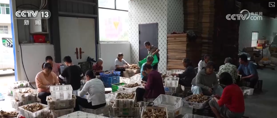 
成都华西医院黄牛代挂号电话票贩子号贩子网上预约挂号,住院检查加快,更牢、更实、更足、更稳、更亮……关键词里透视乡村振兴“成绩单”