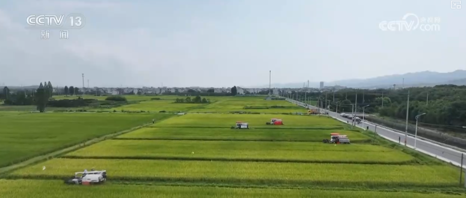 
成都华西医院黄牛代挂号电话票贩子号贩子网上预约挂号,住院检查加快,更牢、更实、更足、更稳、更亮……关键词里透视乡村振兴“成绩单”