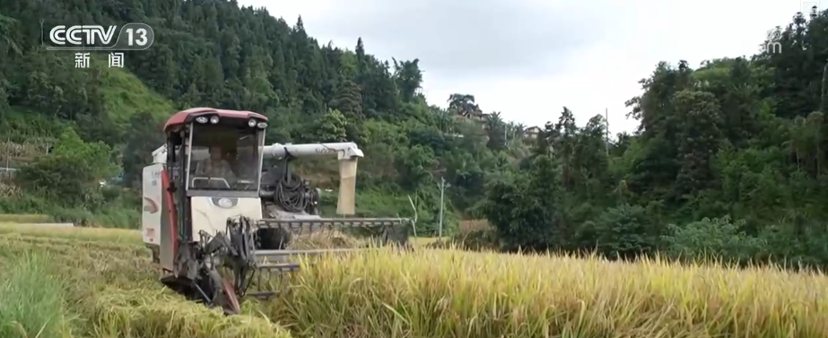 
北京空军总医院黄牛代挂号电话票贩子号贩子网上预约挂号,住院检查加快,秋日丰收“科技+”唱主角 创新服务农户地头售粮、即时变现