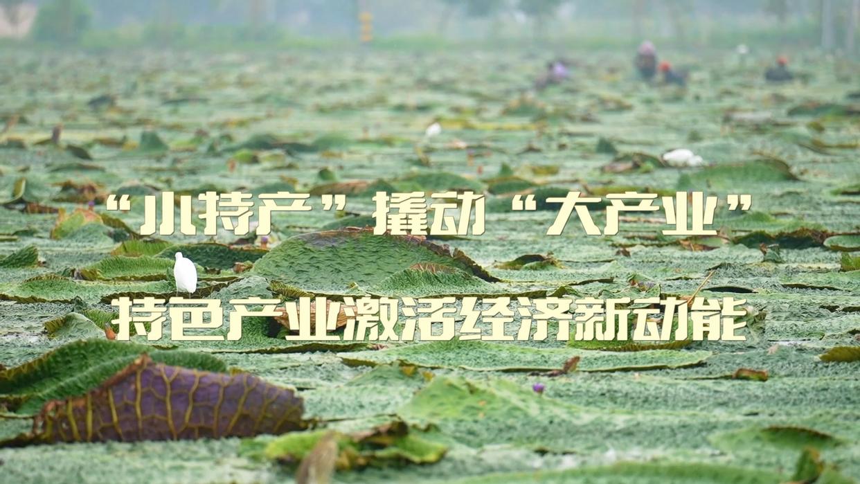
上海肿瘤医院黄牛代挂号电话票贩子号贩子网上预约挂号,住院检查加快,新华视点｜“小特产”撬动“大产业”：特色产业激活经济新动能