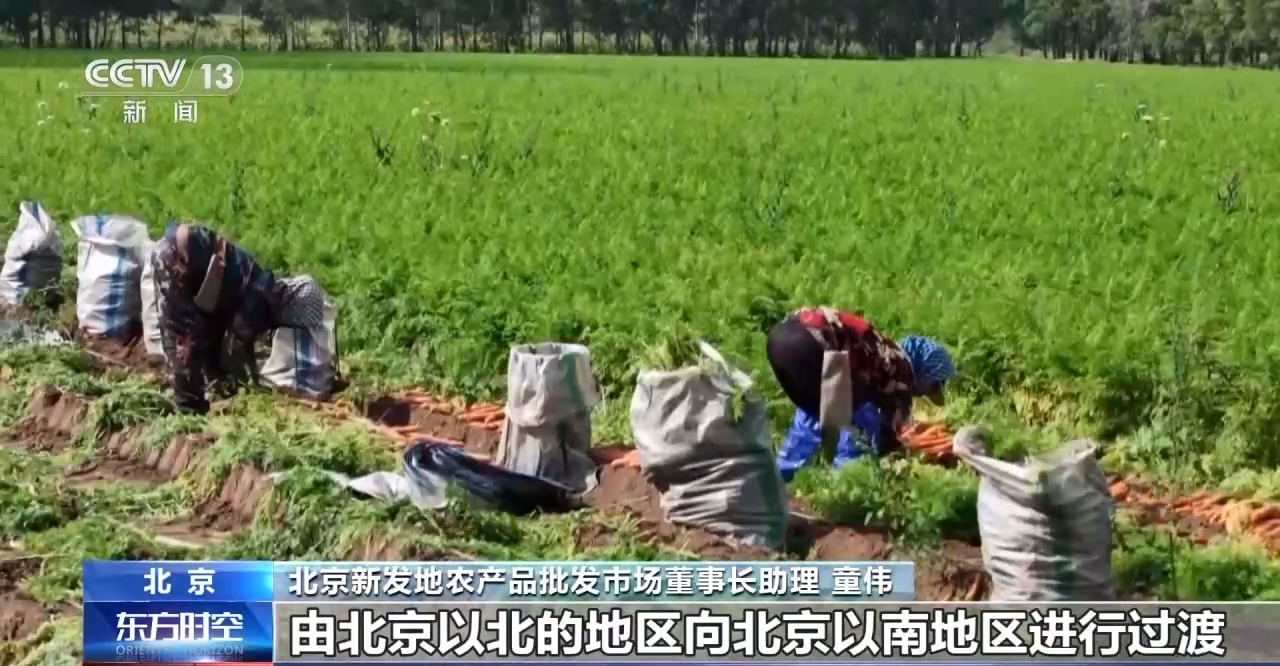 
北京肿瘤医院黄牛代挂号电话票贩子号贩子网上预约挂号,住院检查加快,“小菜篮”里装着“大民生” 面对菜价波动 多地出实招守护“菜篮子”