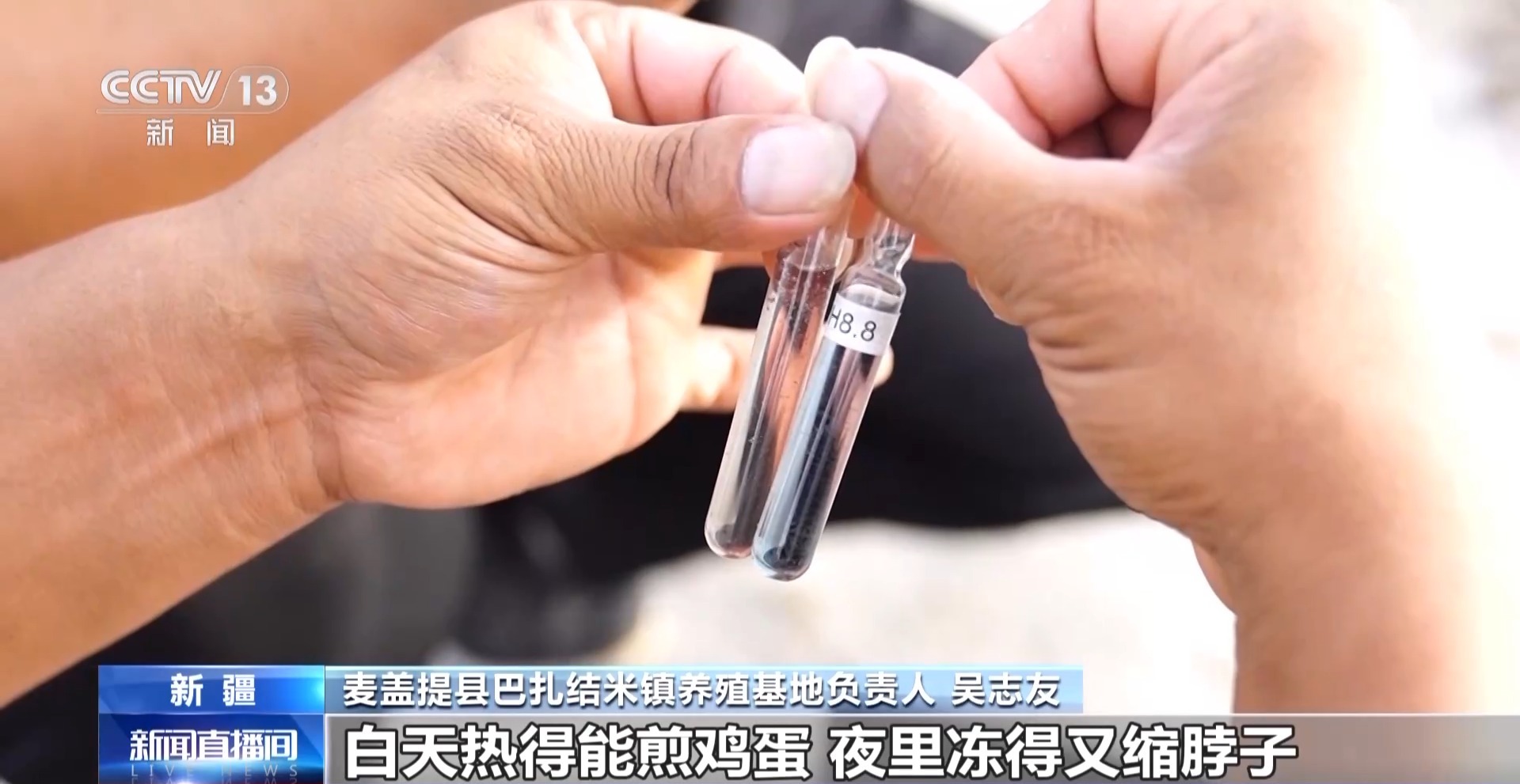 
浙江口腔医院黄牛代挂号电话票贩子号贩子网上预约挂号,住院检查加快,砥砺奋进七十载 天山南北谱华章丨沙漠里养虾让百姓的日子越过越红火