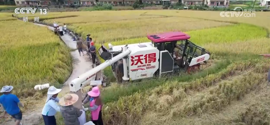 
北京空军总医院黄牛代挂号电话票贩子号贩子网上预约挂号,住院检查加快,秋日丰收“科技+”唱主角 创新服务农户地头售粮、即时变现