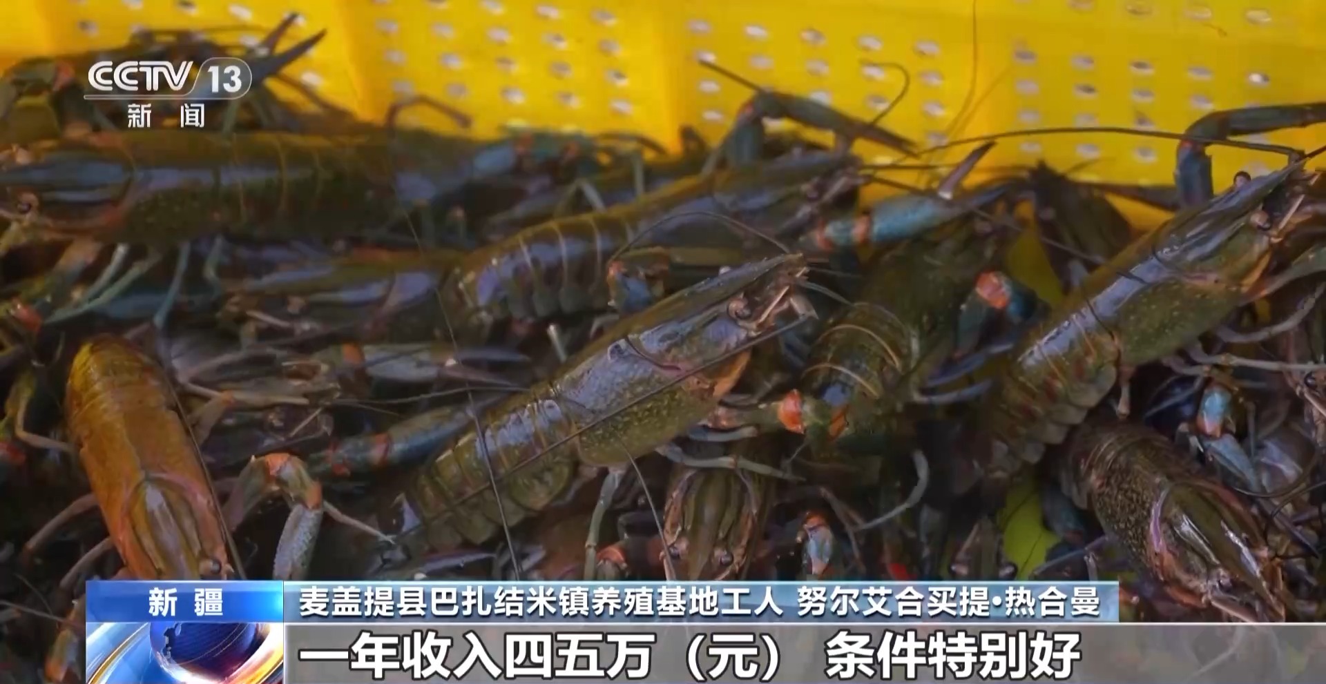 
浙江口腔医院黄牛代挂号电话票贩子号贩子网上预约挂号,住院检查加快,砥砺奋进七十载 天山南北谱华章丨沙漠里养虾让百姓的日子越过越红火