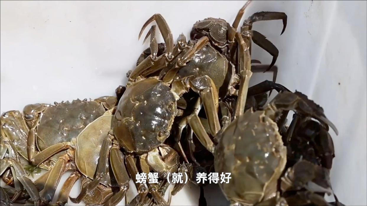 
上海肿瘤医院黄牛代挂号电话票贩子号贩子网上预约挂号,住院检查加快,新华视点｜“小特产”撬动“大产业”：特色产业激活经济新动能
