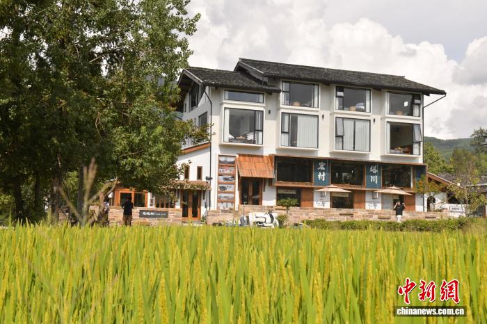 
南京明基医院黄牛代挂号电话票贩子号贩子网上预约挂号,住院检查加快,（走进中国乡村）从“晒秋”到“售秋” 皖南古村文旅焕新机