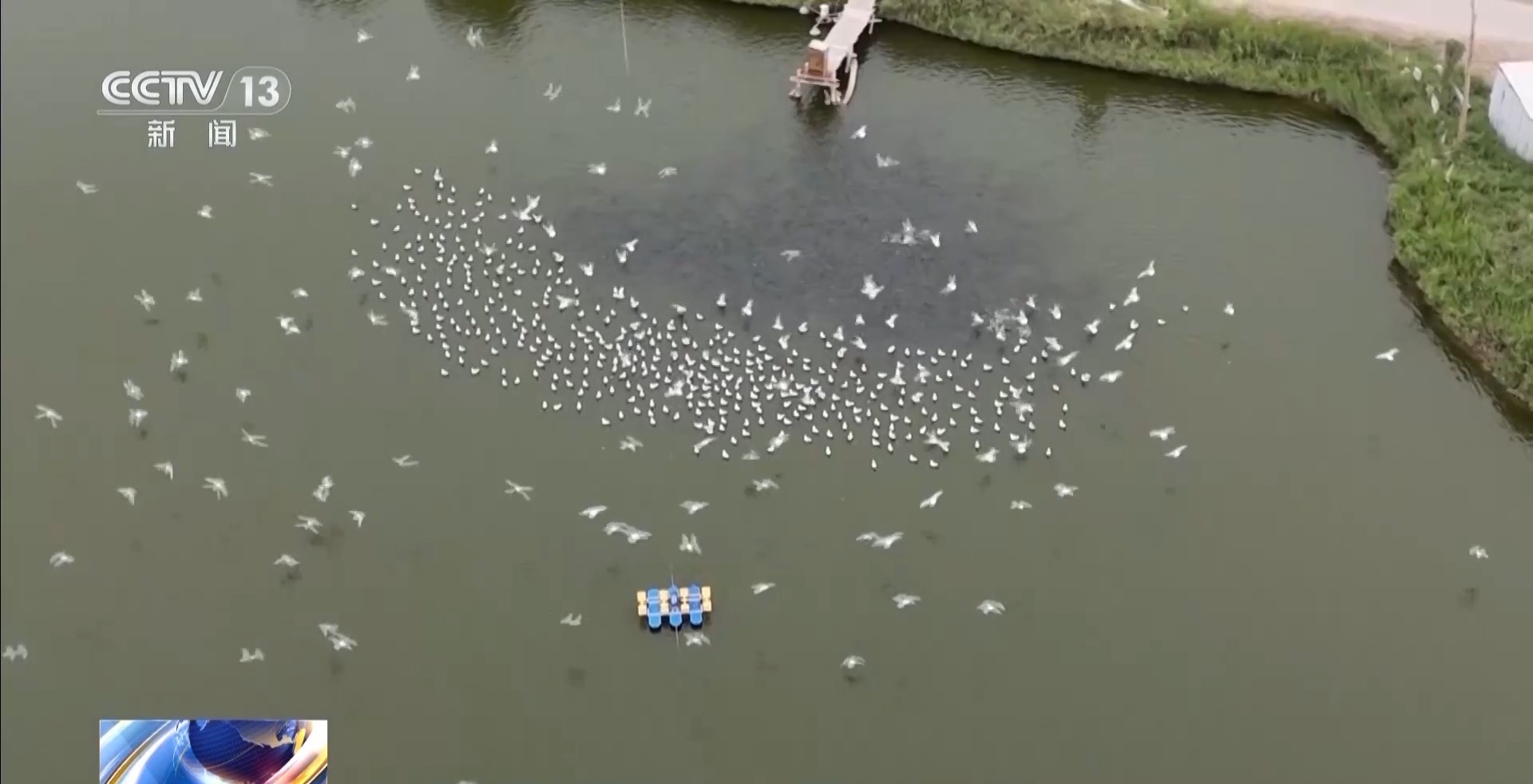 
杭州各大医院黄牛代挂号电话票贩子号贩子网上预约挂号,住院检查加快,砥砺奋进七十载 天山南北谱华章丨大漠小城的交通“蝶变”