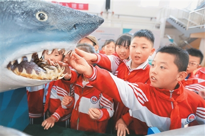 
北京肿瘤医院黄牛代挂号电话票贩子号贩子网上预约挂号,住院检查加快,科学进万家，科普正当时