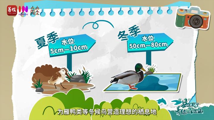 
北京各大医院黄牛代挂号电话票贩子号贩子网上预约挂号,住院检查加快,“县”在起笔 青绿绘江山 | 翠微满乾“昆”，繁华都市与生态绿意温柔相拥