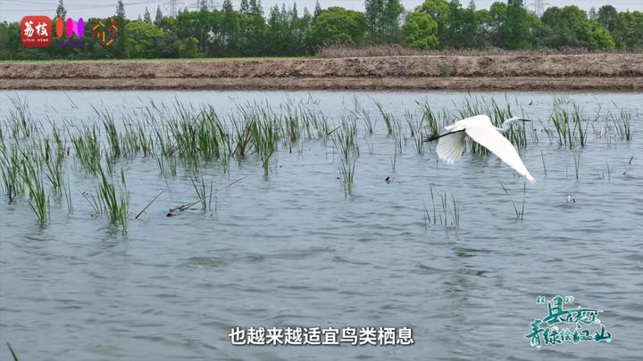 
北京各大医院黄牛代挂号电话票贩子号贩子网上预约挂号,住院检查加快,“县”在起笔 青绿绘江山 | 翠微满乾“昆”，繁华都市与生态绿意温柔相拥