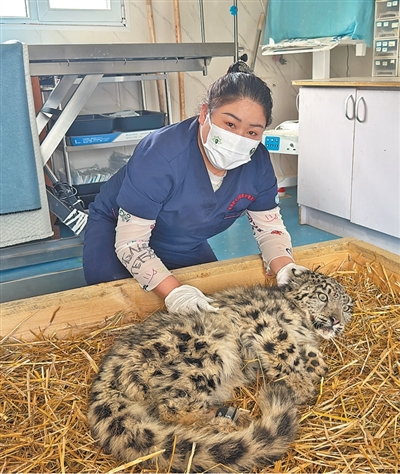 
天津中医药大学一附院黄牛号贩子票贩子代网上预约代挂号电话“再苦再难也能坚持下来”（守望·野生动物保护背后的故事）