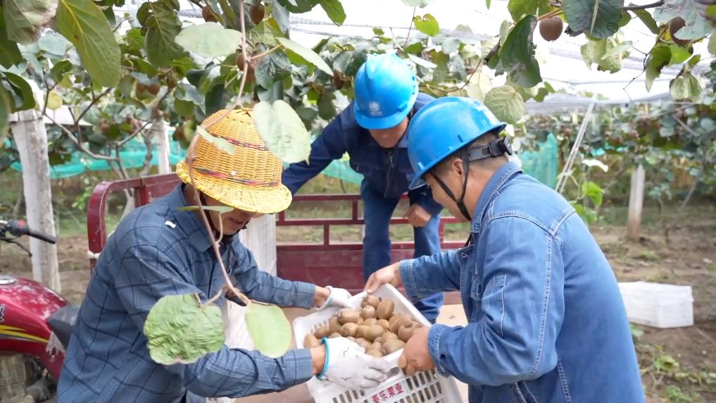 
南京金陵医院黄牛代挂号电话票贩子号贩子网上预约挂号,住院检查加快,新华视点｜金秋九月话丰收 特色农业绘就乡村振兴新图景