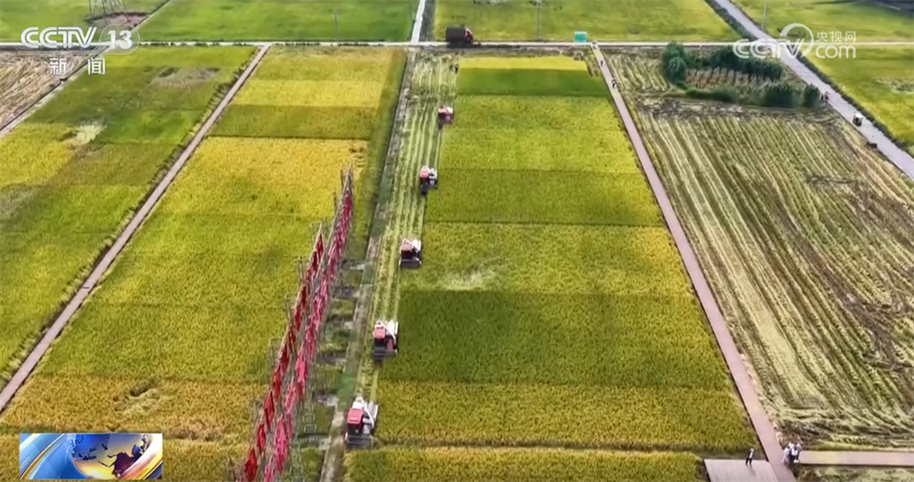 
中山二院黄牛代挂号电话票贩子号贩子网上预约挂号,住院检查加快,稻谷黄、果飘香 “良种良技”与“合作社+农户”模式绘就秋日好“丰”光