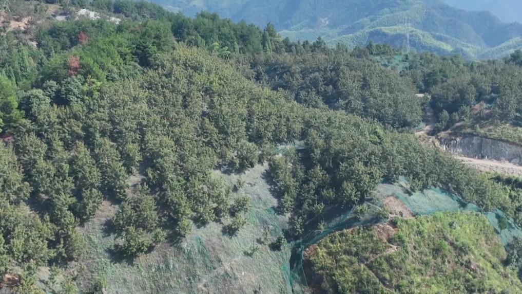 
南京金陵医院黄牛代挂号电话票贩子号贩子网上预约挂号,住院检查加快,新华视点｜金秋九月话丰收 特色农业绘就乡村振兴新图景