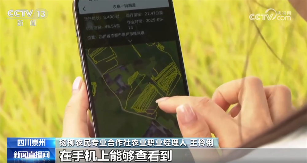 
中山二院黄牛代挂号电话票贩子号贩子网上预约挂号,住院检查加快,稻谷黄、果飘香 “良种良技”与“合作社+农户”模式绘就秋日好“丰”光