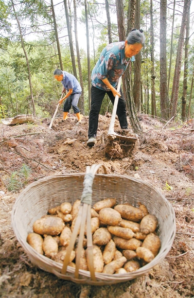 
中山大学中山眼科中心黄牛代挂号电话票贩子号贩子网上预约挂号,住院检查加快,我国居民健康水平持续改善（大健康观察）