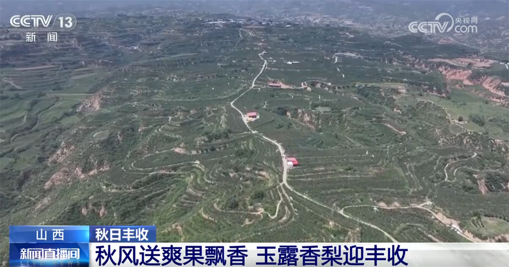 
中山二院黄牛代挂号电话票贩子号贩子网上预约挂号,住院检查加快,稻谷黄、果飘香 “良种良技”与“合作社+农户”模式绘就秋日好“丰”光