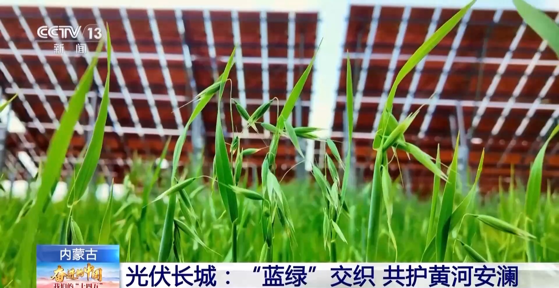 
杭州西溪医院黄牛代挂号电话票贩子号贩子网上预约挂号,住院检查加快,5年防沙治沙超6500万亩 荒漠变绿洲内蒙古付出了哪些努力
