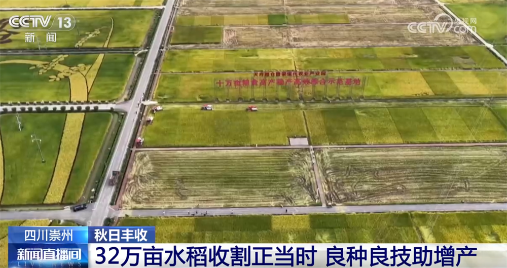 
中山二院黄牛代挂号电话票贩子号贩子网上预约挂号,住院检查加快,稻谷黄、果飘香 “良种良技”与“合作社+农户”模式绘就秋日好“丰”光