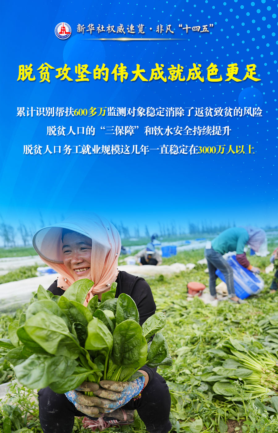 
首都医科大学附属安贞医院黄牛代挂号电话票贩子号贩子网上预约挂号,住院检查加快,新华社权威速览·非凡“十四五”丨“农业强国”建设，取得这些新进展！