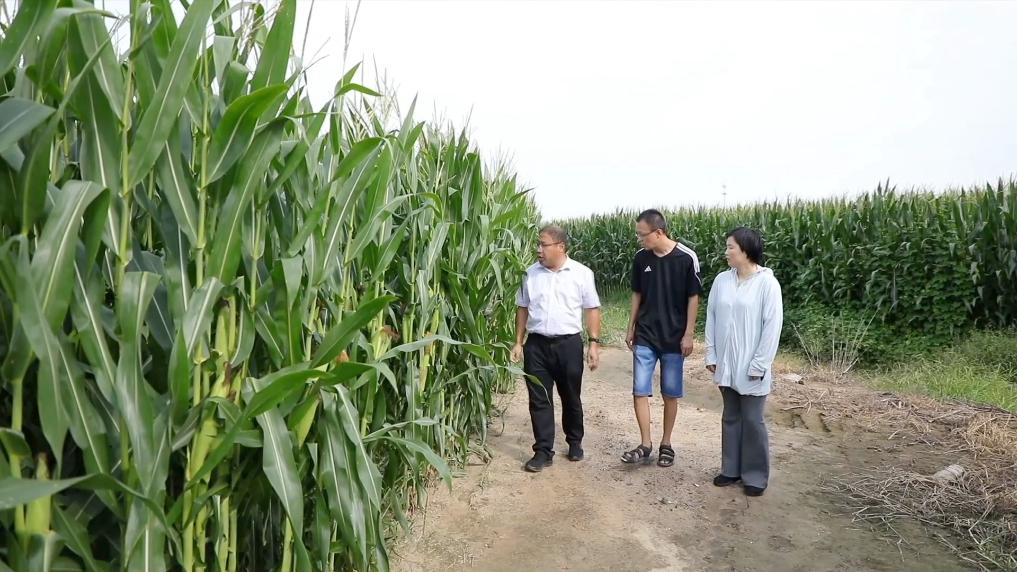 
南京金陵医院黄牛代挂号电话票贩子号贩子网上预约挂号,住院检查加快,新华视点｜金秋九月话丰收 特色农业绘就乡村振兴新图景