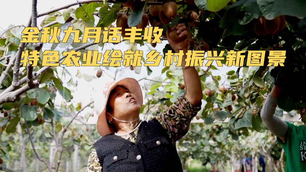 
南京金陵医院黄牛代挂号电话票贩子号贩子网上预约挂号,住院检查加快,新华视点｜金秋九月话丰收 特色农业绘就乡村振兴新图景
