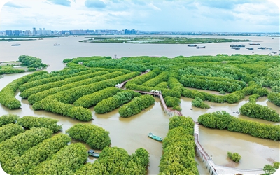 
沈阳各大医院黄牛代挂号电话票贩子号贩子网上预约挂号,住院检查加快,碳市场2.0，中国这样布局