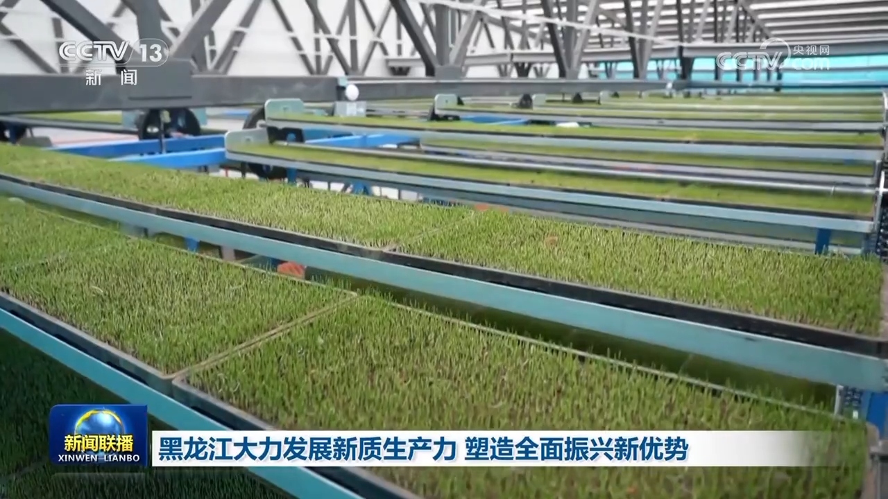 
杭州市七医院黄牛代挂号电话票贩子号贩子网上预约挂号,住院检查加快,吉林、黑龙江因地制宜培育新质生产力 为高质量发展持续注入新动能