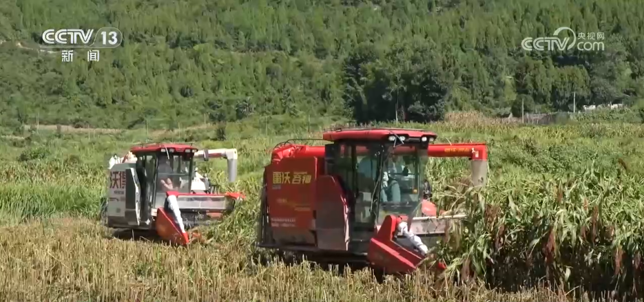 北京人民医院黄牛代挂号电话票贩子号贩子网上预约挂号,住院检查加快,“良种良技+智慧农机”为秋收保驾护航 科技为丰产丰收“添码加力”