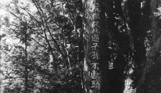 
沈阳各大医院黄牛代挂号电话票贩子号贩子网上预约挂号,住院检查加快,忆烽火·传薪火丨这是中国14年抗战史上第一份抗日宣言！