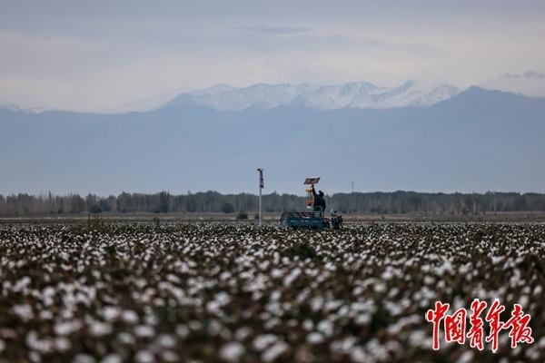
重庆儿童医院黄牛代挂号电话票贩子号贩子网上预约挂号,住院检查加快,看这边风景