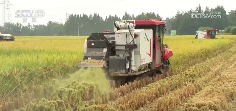 北京人民医院黄牛代挂号电话票贩子号贩子网上预约挂号,住院检查加快,“良种良技+智慧农机”为秋收保驾护航 科技为丰产丰收“添码加力”