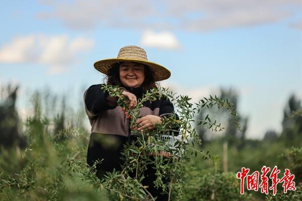 
重庆儿童医院黄牛代挂号电话票贩子号贩子网上预约挂号,住院检查加快,看这边风景