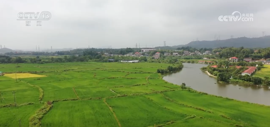 北京人民医院黄牛代挂号电话票贩子号贩子网上预约挂号,住院检查加快,“良种良技+智慧农机”为秋收保驾护航 科技为丰产丰收“添码加力”