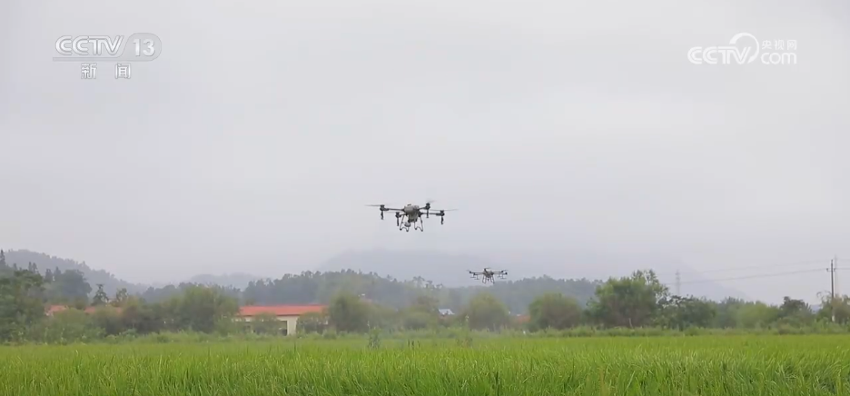 北京人民医院黄牛代挂号电话票贩子号贩子网上预约挂号,住院检查加快,“良种良技+智慧农机”为秋收保驾护航 科技为丰产丰收“添码加力”