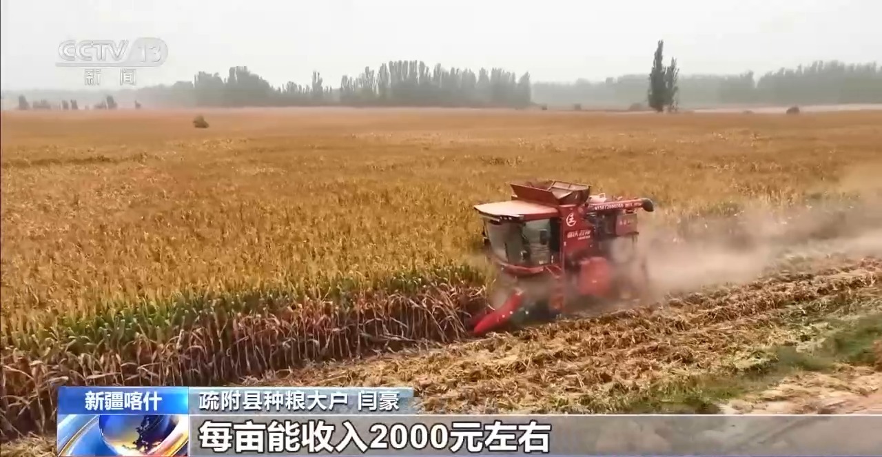 
东直门医院黄牛代挂号电话票贩子号贩子网上预约挂号,住院检查加快,秋日好“丰”景 科技赋能+政策扶持让农户增产增效