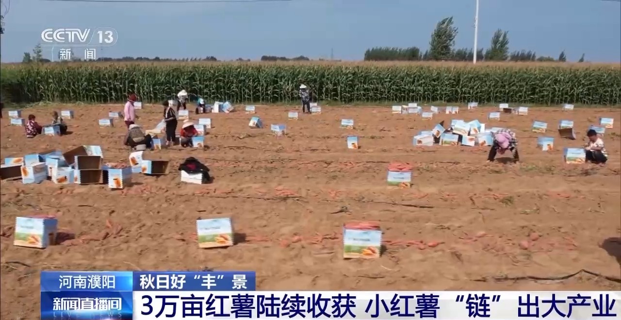 
东直门医院黄牛代挂号电话票贩子号贩子网上预约挂号,住院检查加快,秋日好“丰”景 科技赋能+政策扶持让农户增产增效