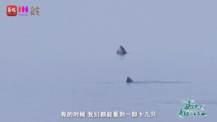 
首都医科大学附属阜外医院黄牛代挂号电话票贩子号贩子网上预约挂号,住院检查加快,“县”在起笔 青绿绘江山 | 江湾沐晓：褪去“锈色”走“金线”，绣出生态与产业“双面锦”
