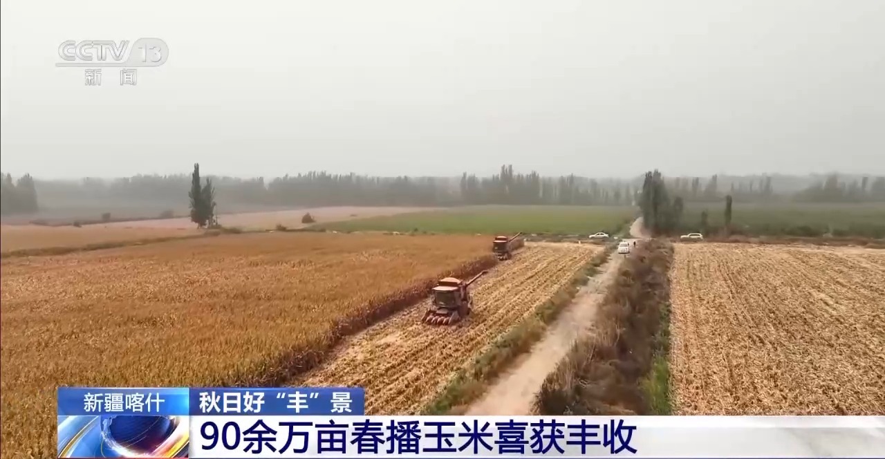 
东直门医院黄牛代挂号电话票贩子号贩子网上预约挂号,住院检查加快,秋日好“丰”景 科技赋能+政策扶持让农户增产增效