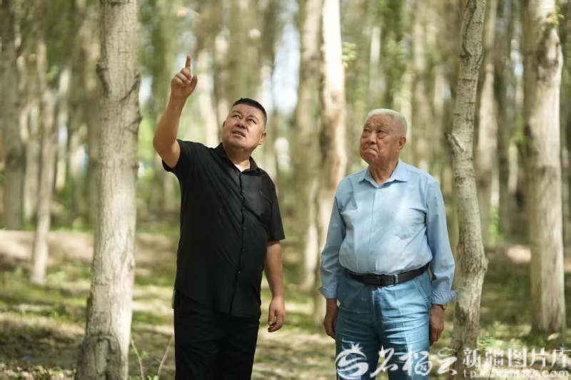 
北京大学第一医院黄牛代挂号电话票贩子号贩子网上预约挂号,住院检查加快,致敬新疆榜样丨柯柯牙工程建设者群体：执“绿”为笔绘就戈壁新画卷