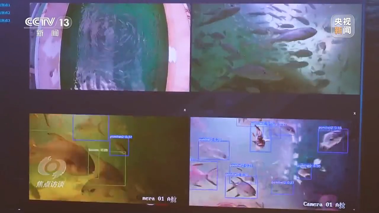 
北京儿研所黄牛代挂号电话票贩子号贩子网上预约挂号,住院检查加快,焦点访谈丨从智慧城市到数字乡村 “十四五”数字中国建设交出亮眼成绩单