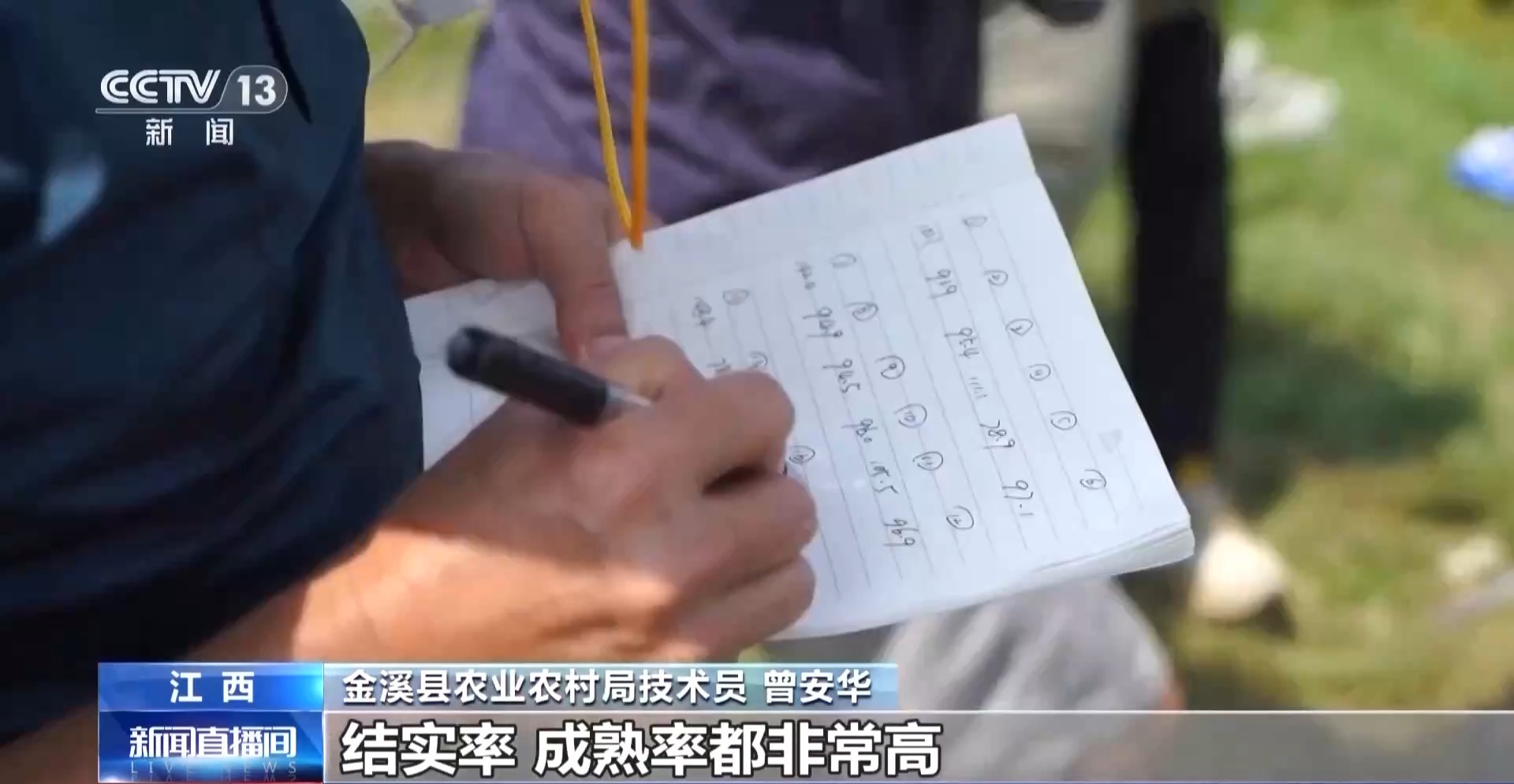 
广东省中医院黄牛代挂号电话票贩子号贩子网上预约挂号,住院检查加快,万亩凤堰古梯田迎丰收 秋日丰收美景已上线！