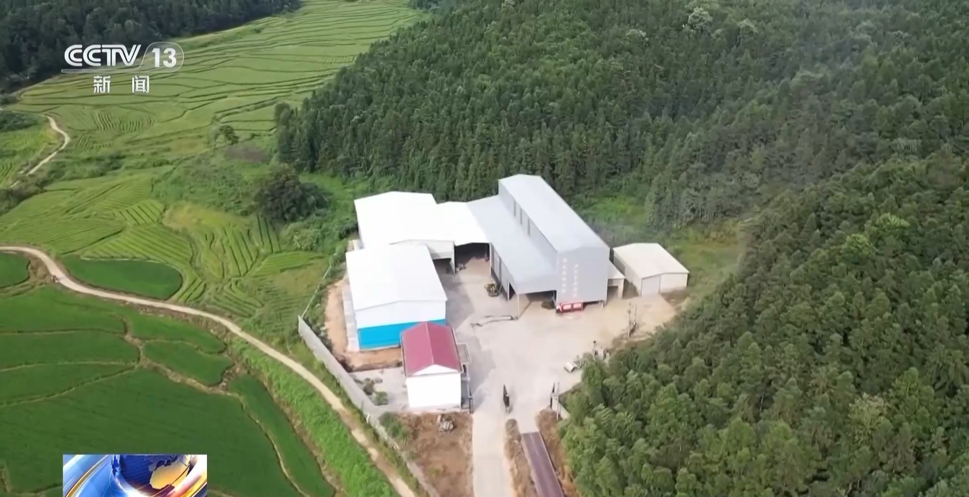 
广东省中医院黄牛代挂号电话票贩子号贩子网上预约挂号,住院检查加快,万亩凤堰古梯田迎丰收 秋日丰收美景已上线！