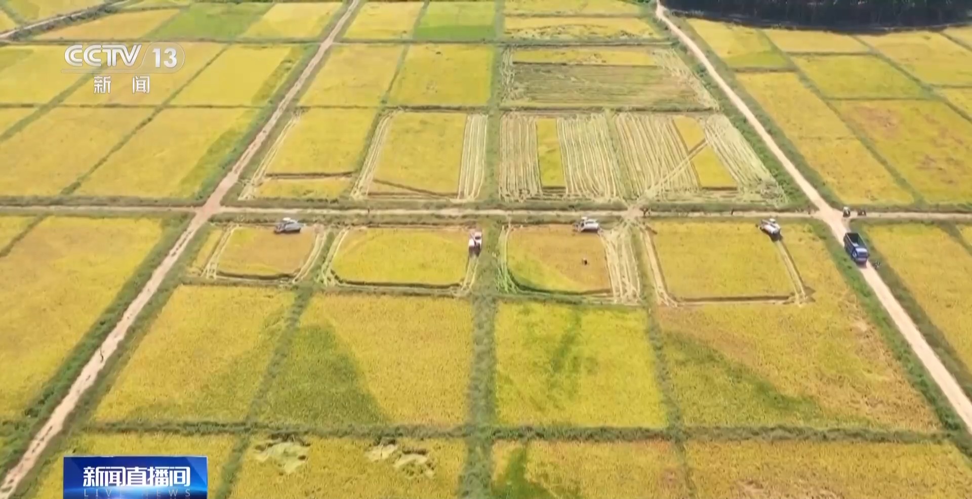 
广东省中医院黄牛代挂号电话票贩子号贩子网上预约挂号,住院检查加快,万亩凤堰古梯田迎丰收 秋日丰收美景已上线！