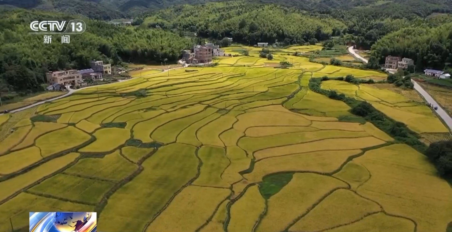 
广东省中医院黄牛代挂号电话票贩子号贩子网上预约挂号,住院检查加快,万亩凤堰古梯田迎丰收 秋日丰收美景已上线！