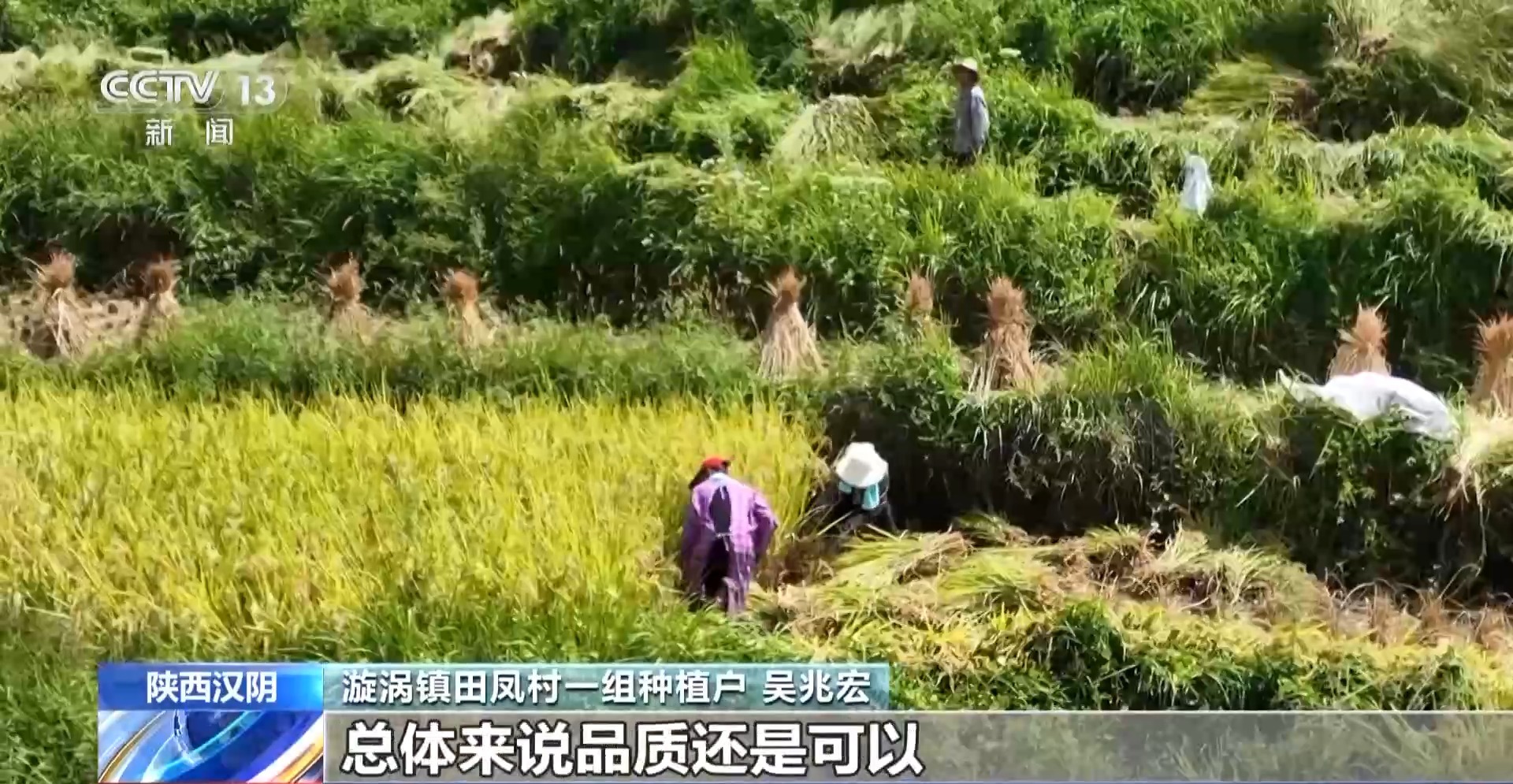 
广东省中医院黄牛代挂号电话票贩子号贩子网上预约挂号,住院检查加快,万亩凤堰古梯田迎丰收 秋日丰收美景已上线！
