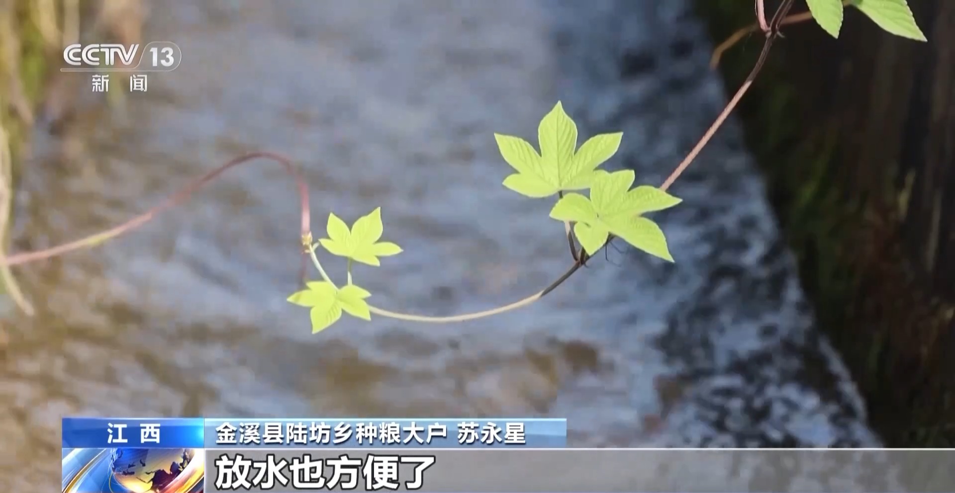 
广东省中医院黄牛代挂号电话票贩子号贩子网上预约挂号,住院检查加快,万亩凤堰古梯田迎丰收 秋日丰收美景已上线！
