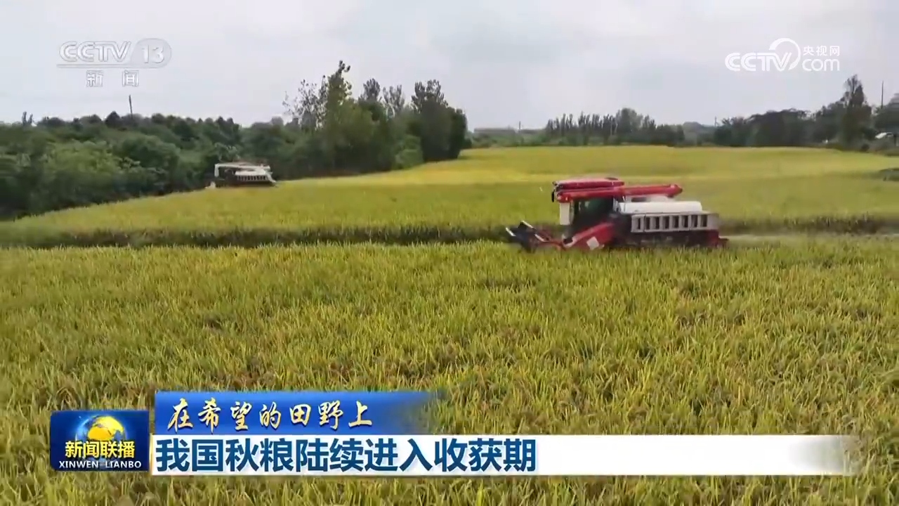 
上海龙华医院黄牛代挂号电话票贩子号贩子网上预约挂号,住院检查加快,秋粮丰收、水果出海、民航新高：多维数据凸显中国经济韧性与活力