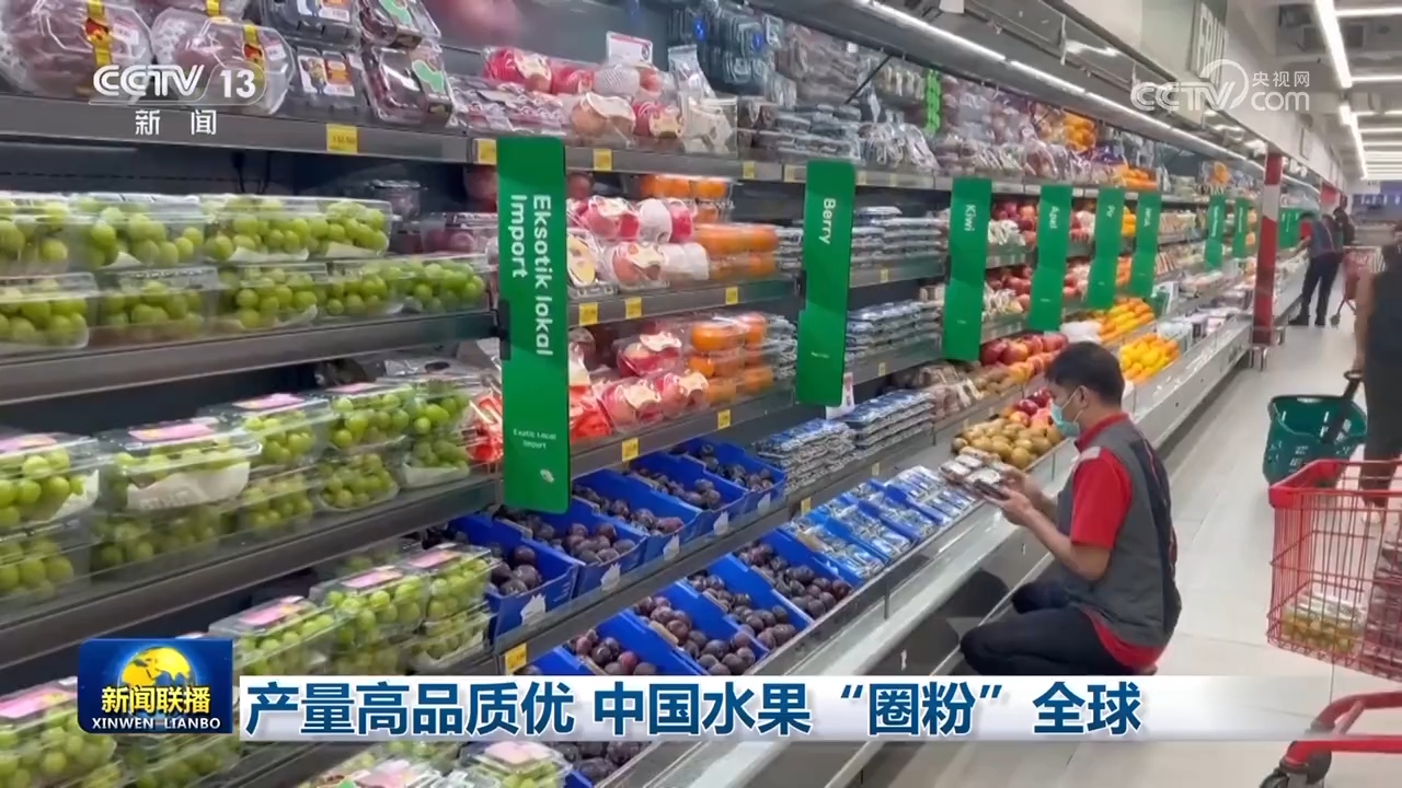 
上海龙华医院黄牛代挂号电话票贩子号贩子网上预约挂号,住院检查加快,秋粮丰收、水果出海、民航新高：多维数据凸显中国经济韧性与活力